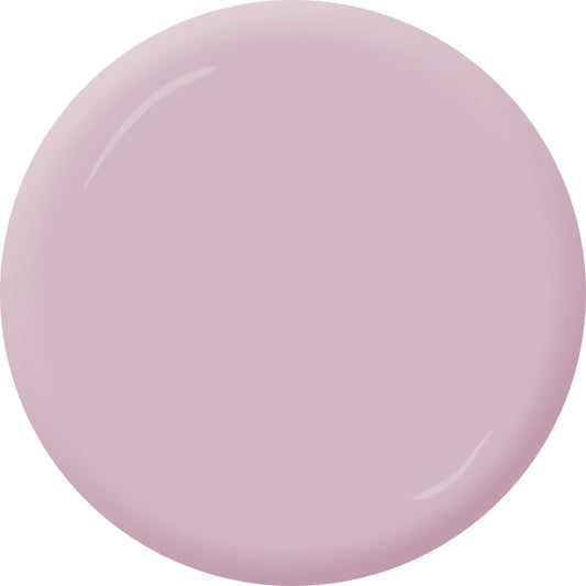 KM 5579 Pink Pampas